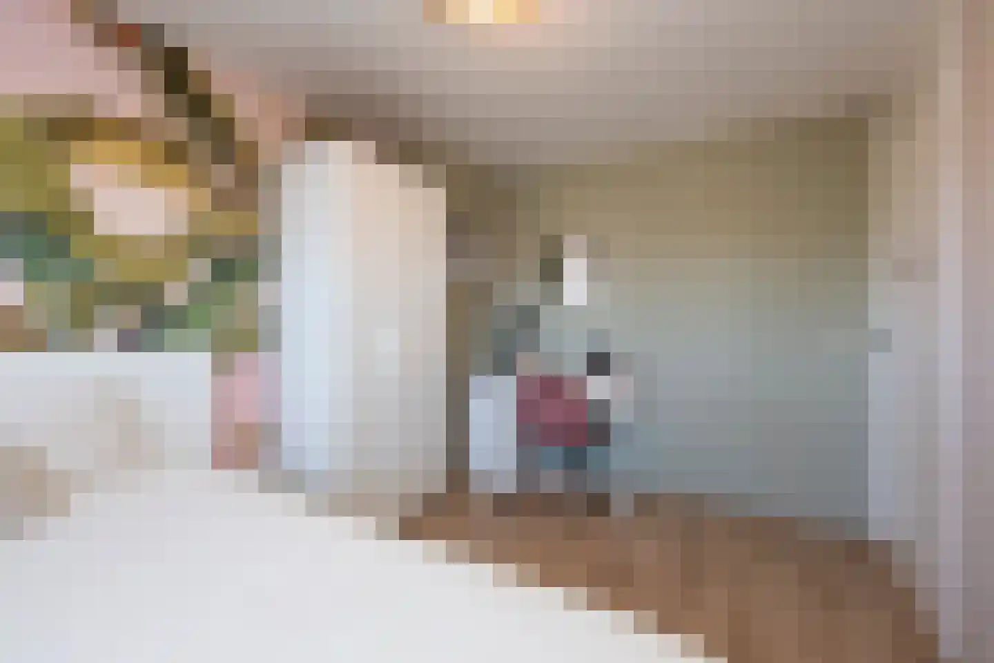 Jan Maurits van Nassaustraat 58 Tilburg thumbnail 27