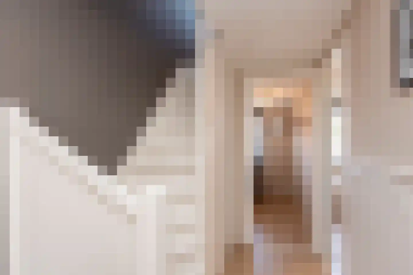 Jan Maurits van Nassaustraat 58 Tilburg thumbnail 28