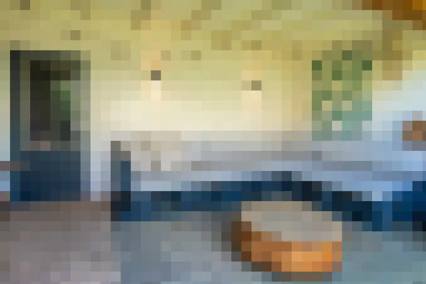 Jan Maurits van Nassaustraat 58 Tilburg thumbnail 38