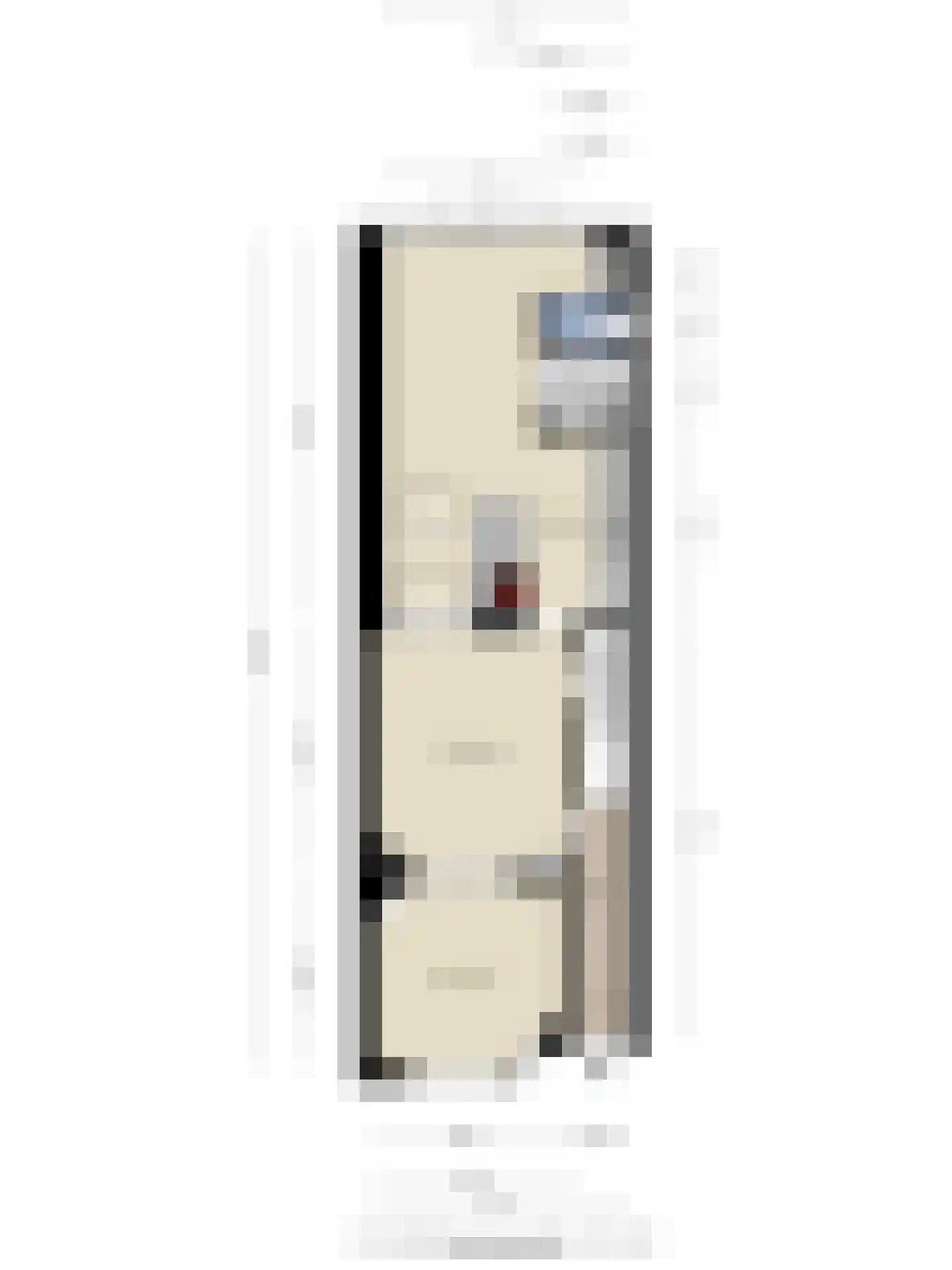 Jan Maurits van Nassaustraat 58 Tilburg thumbnail 46