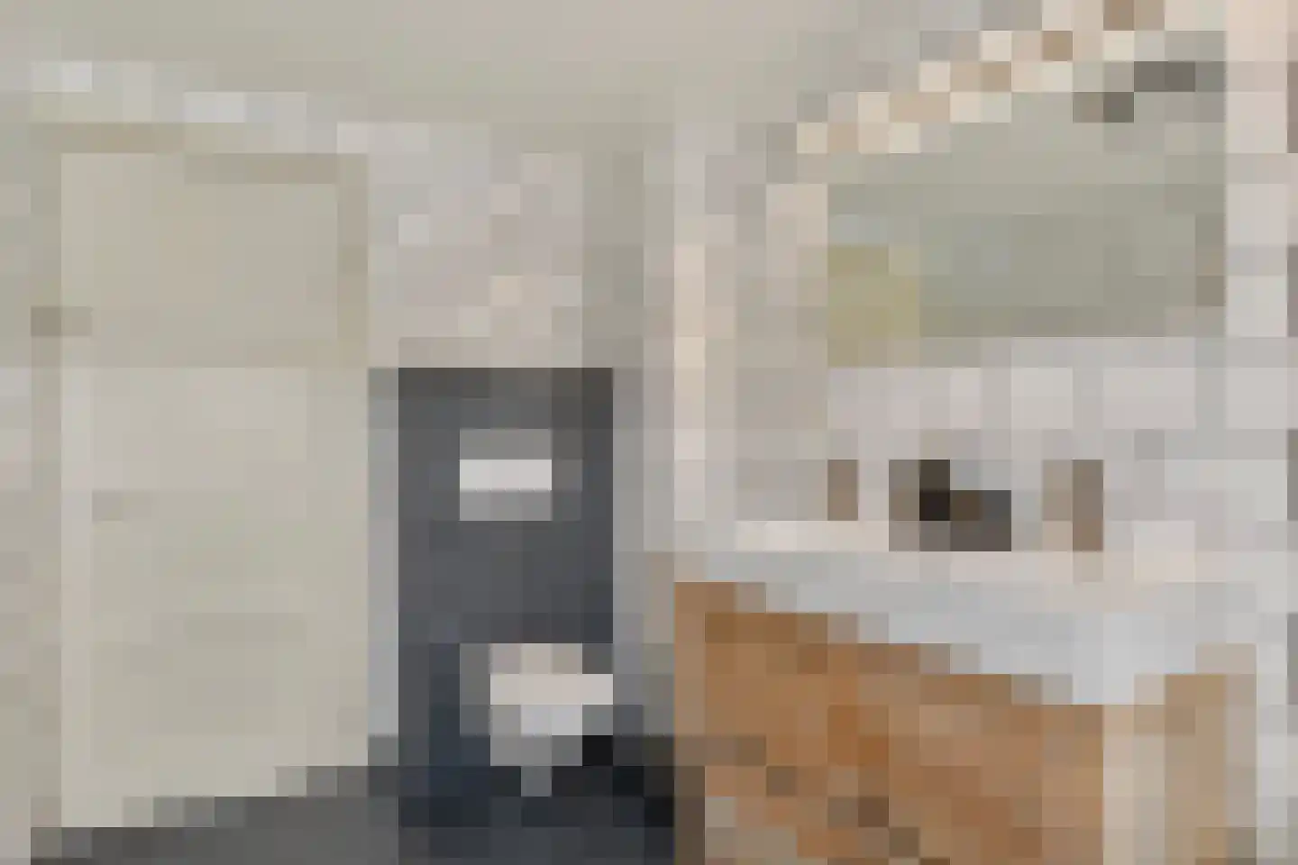 Jan Maurits van Nassaustraat 7 Tilburg thumbnail 26