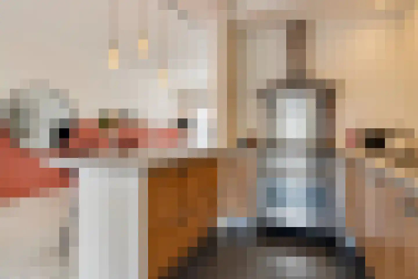 Jan Maurits van Nassaustraat 7 Tilburg thumbnail 8