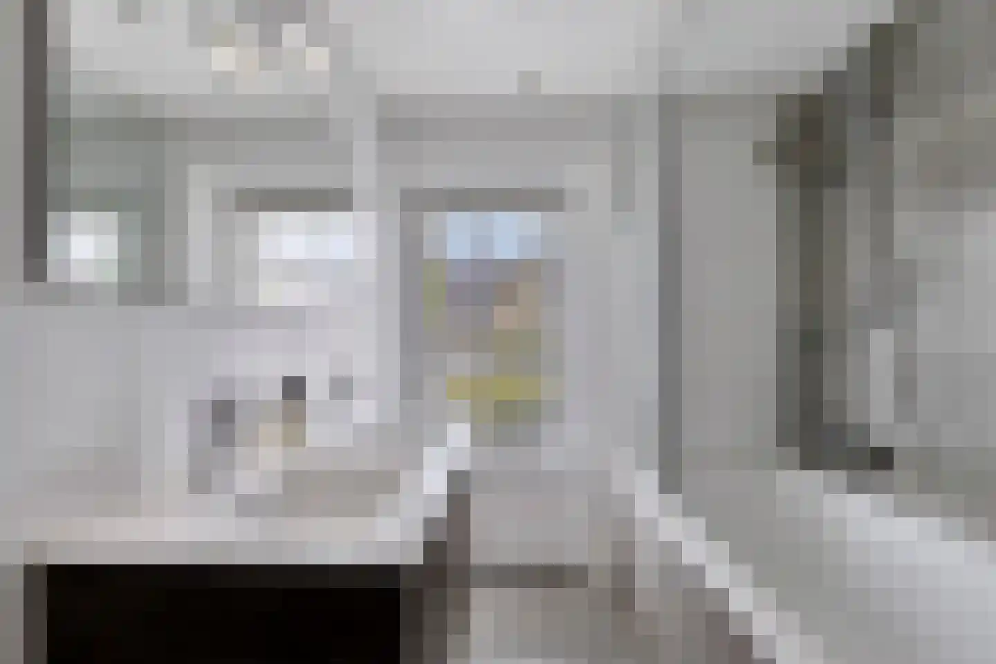 Jan Maurits van Nassaustraat 9 Tilburg thumbnail 20