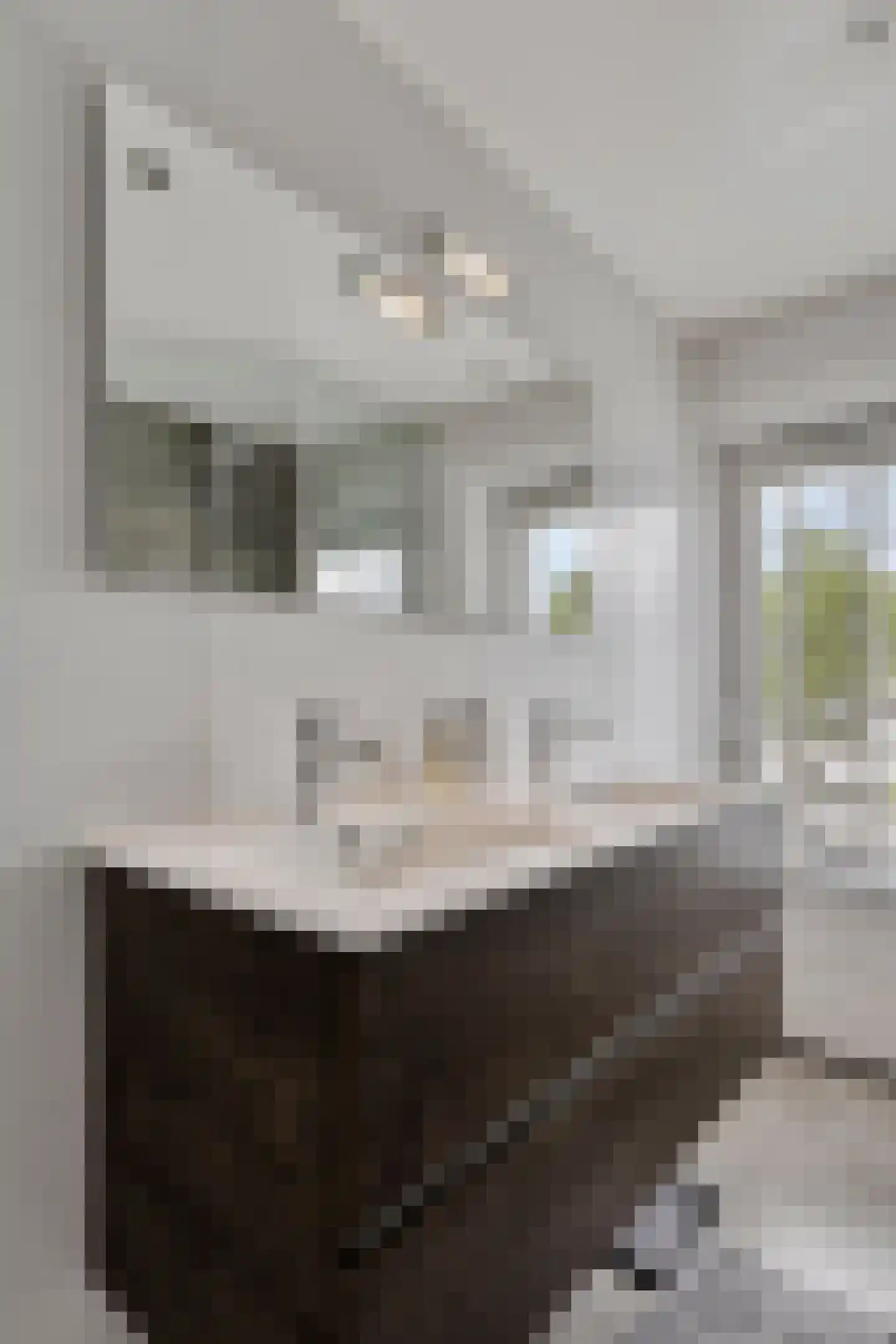 Jan Maurits van Nassaustraat 9 Tilburg thumbnail 22
