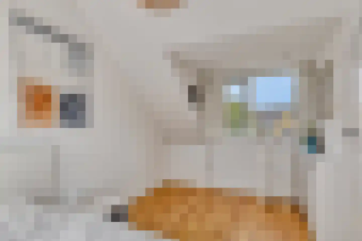 Jan Maurits van Nassaustraat 9 Tilburg thumbnail 24