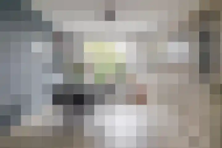 Jan Mayenlaan 6 Gouda thumbnail 10