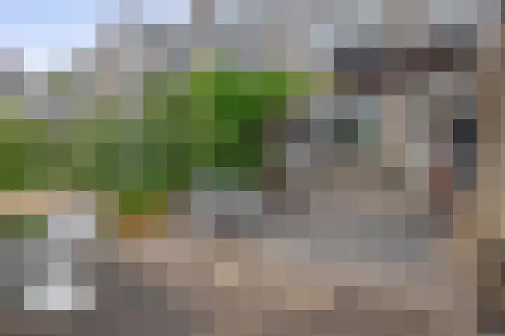Jan Mayenlaan 6 Gouda thumbnail 16