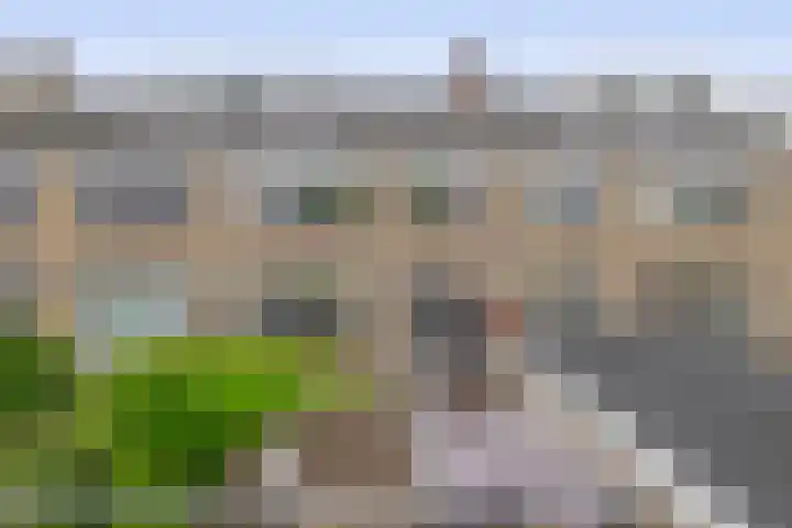 Jan Mayenlaan 6 Gouda thumbnail 17