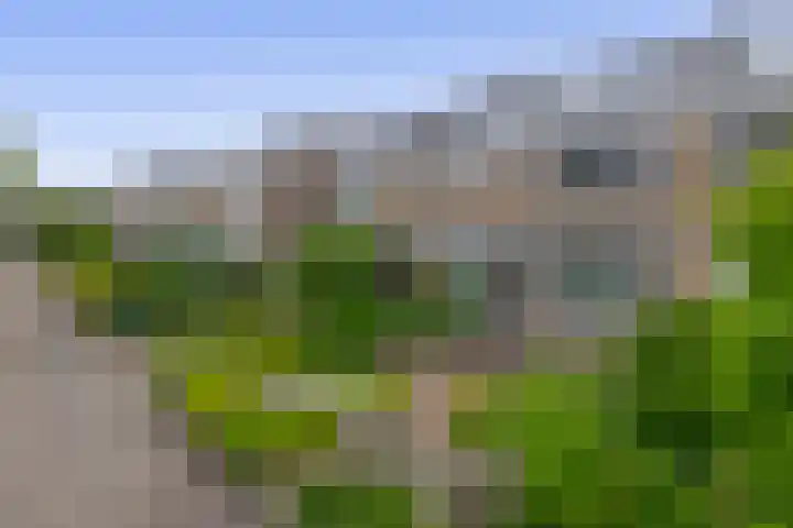 Jan Mayenlaan 6 Gouda thumbnail 30