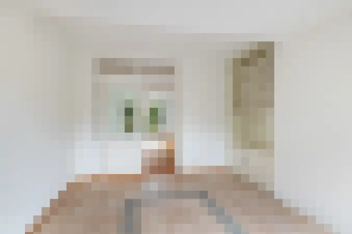 Jan Meerdinkplein 13 Zeist thumbnail 21