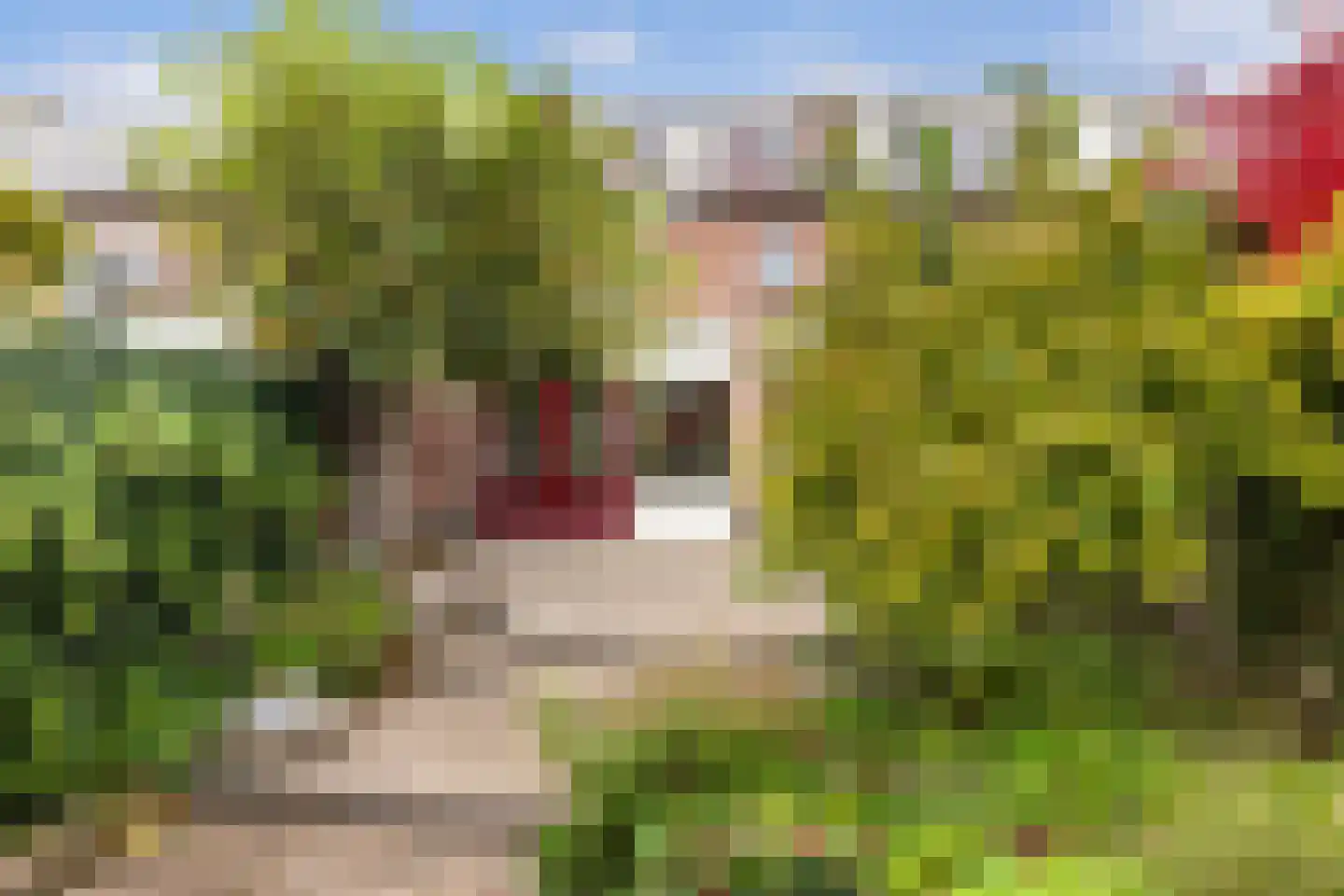Jan Meerdinkplein 13 Zeist thumbnail 42