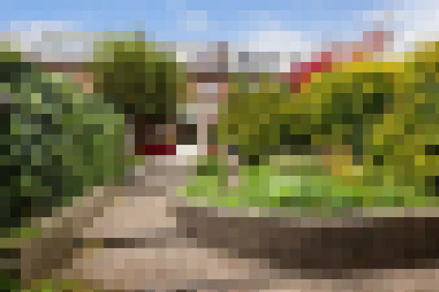 Jan Meerdinkplein 13 Zeist thumbnail 6