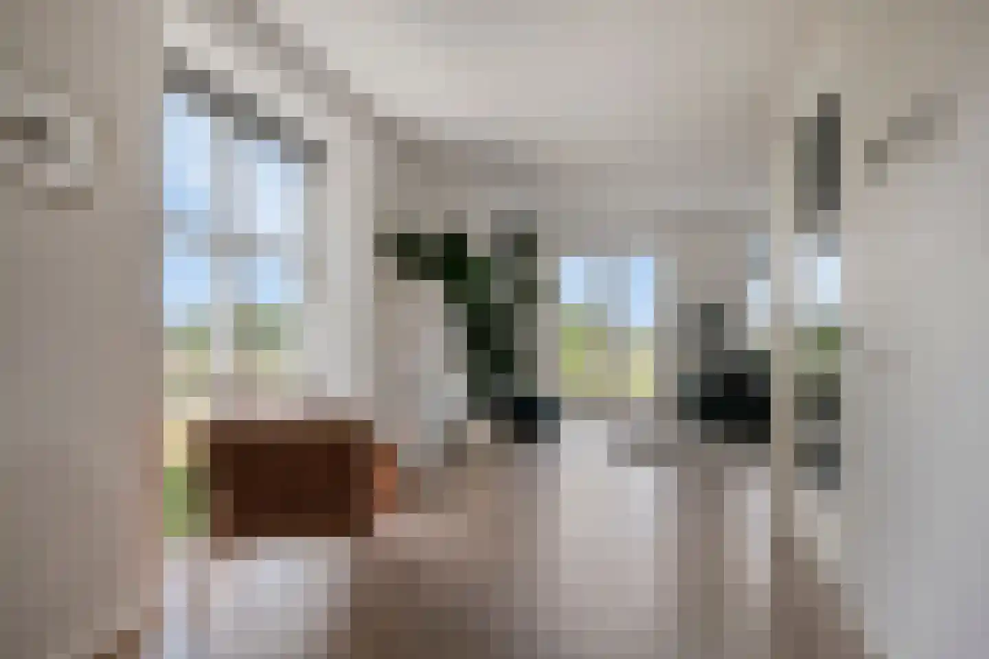 Jan Meesterweg 1 Wijhe thumbnail 15