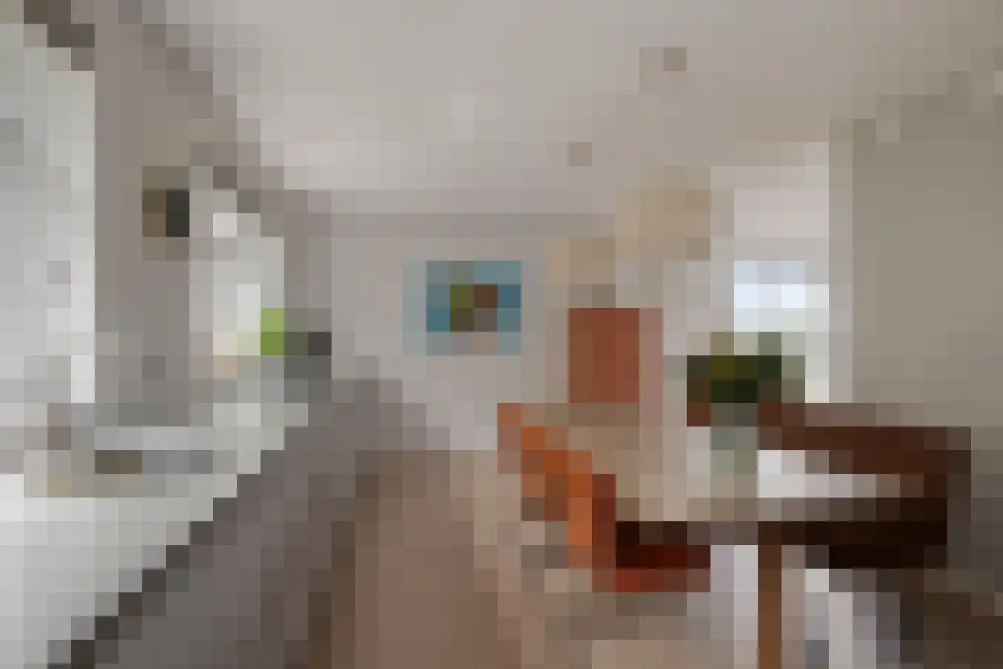 Jan Meesterweg 1 Wijhe thumbnail 25