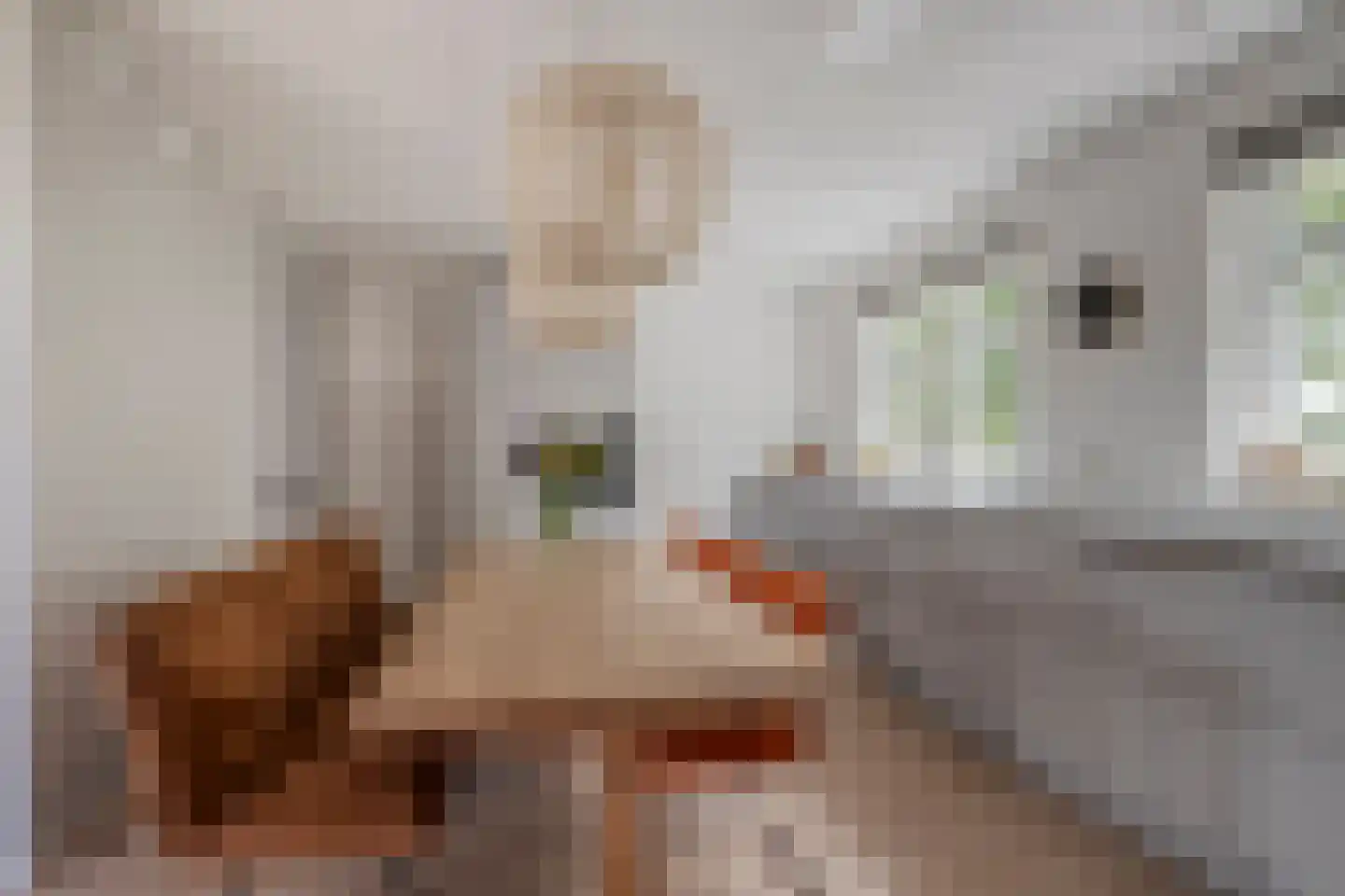 Jan Meesterweg 1 Wijhe thumbnail 27