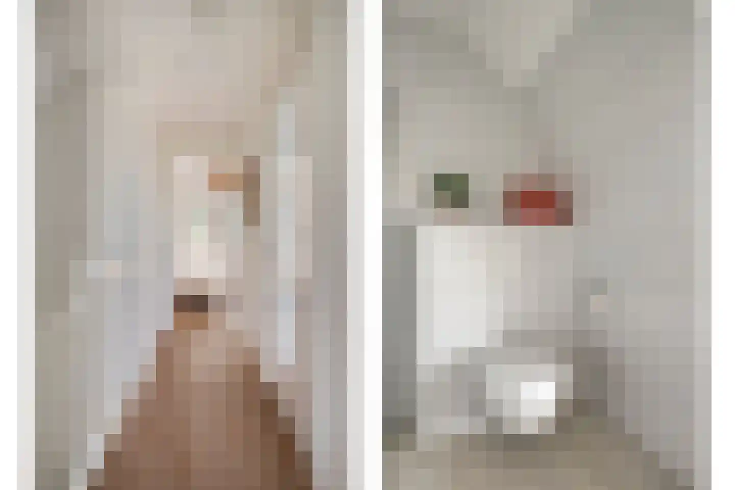 Jan Meesterweg 1 Wijhe thumbnail 33