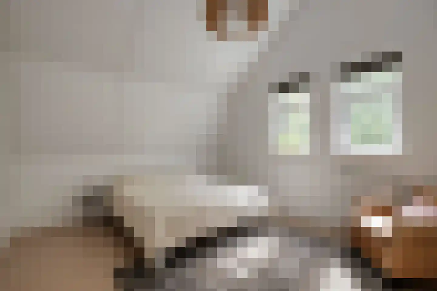 Jan Meesterweg 1 Wijhe thumbnail 40