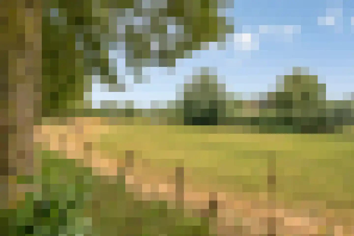 Jan Meesterweg 1 Wijhe thumbnail 53