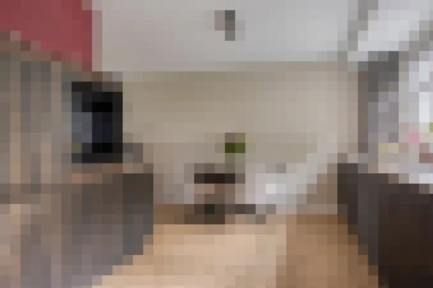Jan Meesterweg 5 Wijhe thumbnail 33