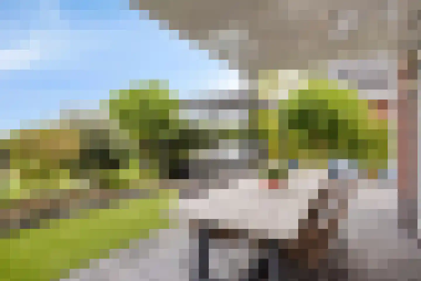 Jan Meesterweg 5 Wijhe thumbnail 53