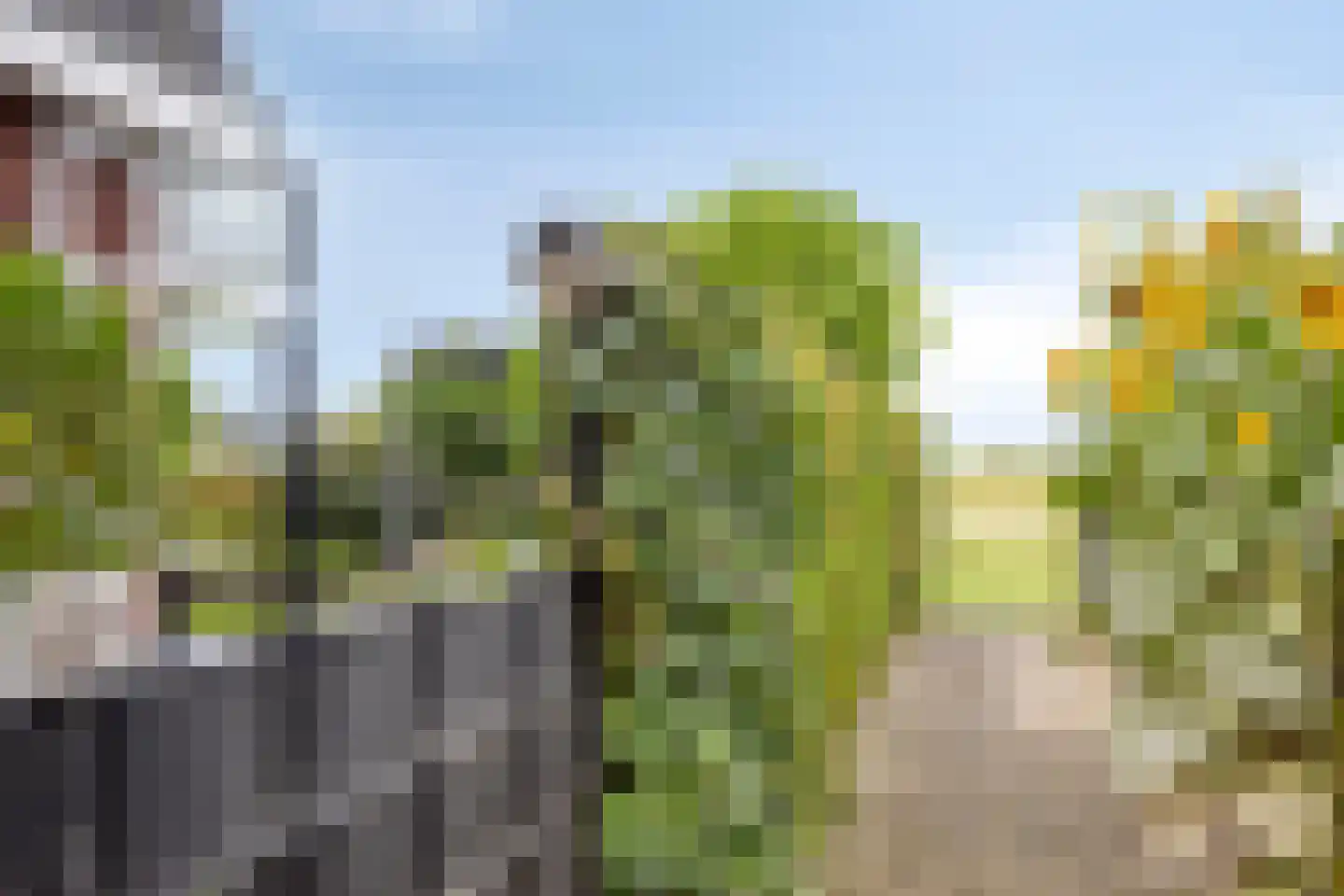 Jan Meesterweg 5 Wijhe thumbnail 62