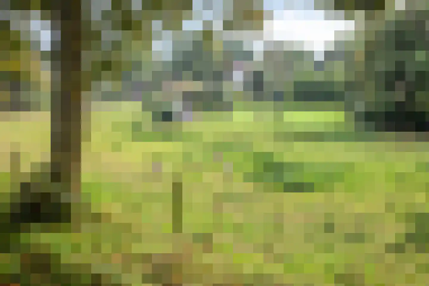 Jan Meesterweg 5 Wijhe thumbnail 66