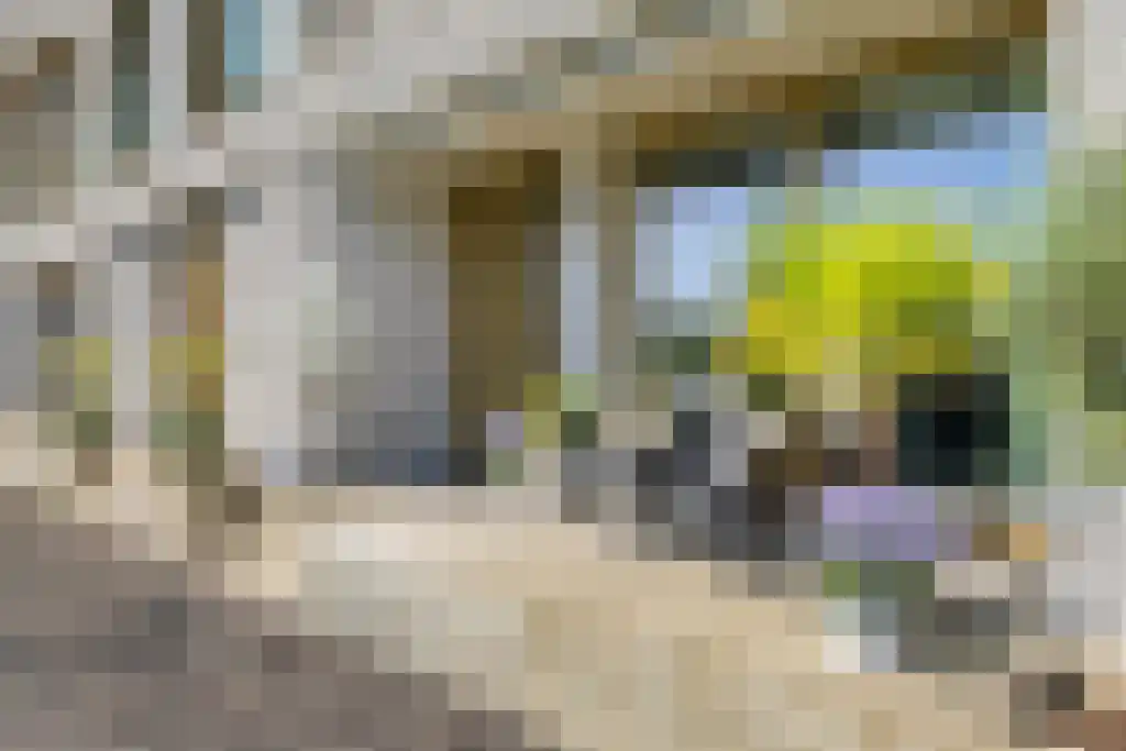 Jan Meijvisplein 41 Breda thumbnail 4