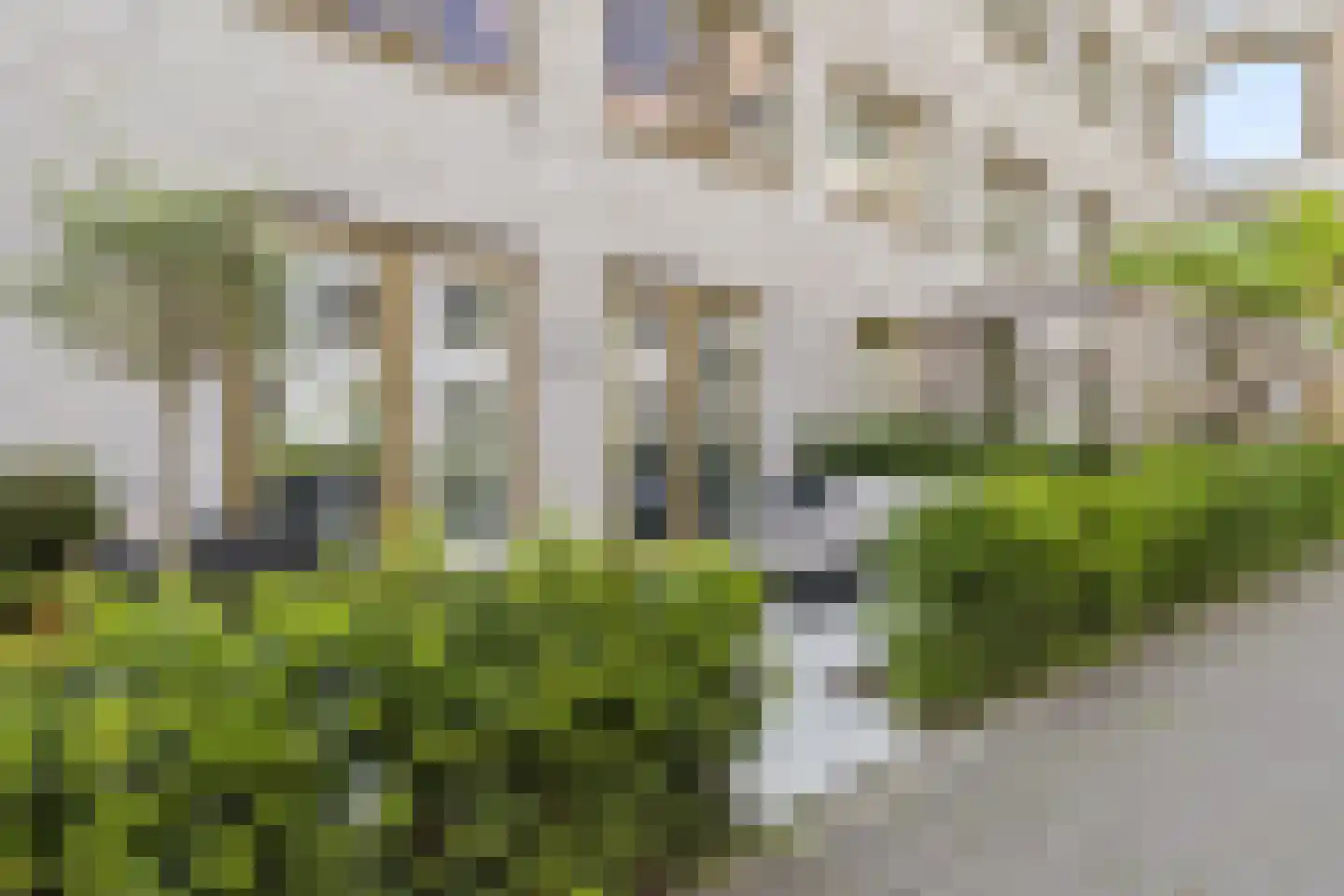 Jan Meijvisplein 41 Breda thumbnail 57