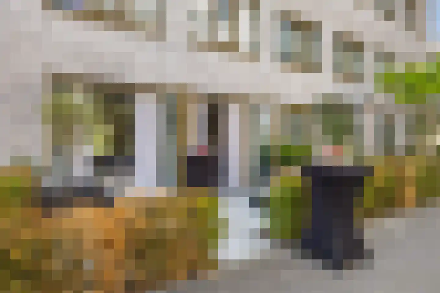 Jan Meijvisplein 41 Breda thumbnail 59