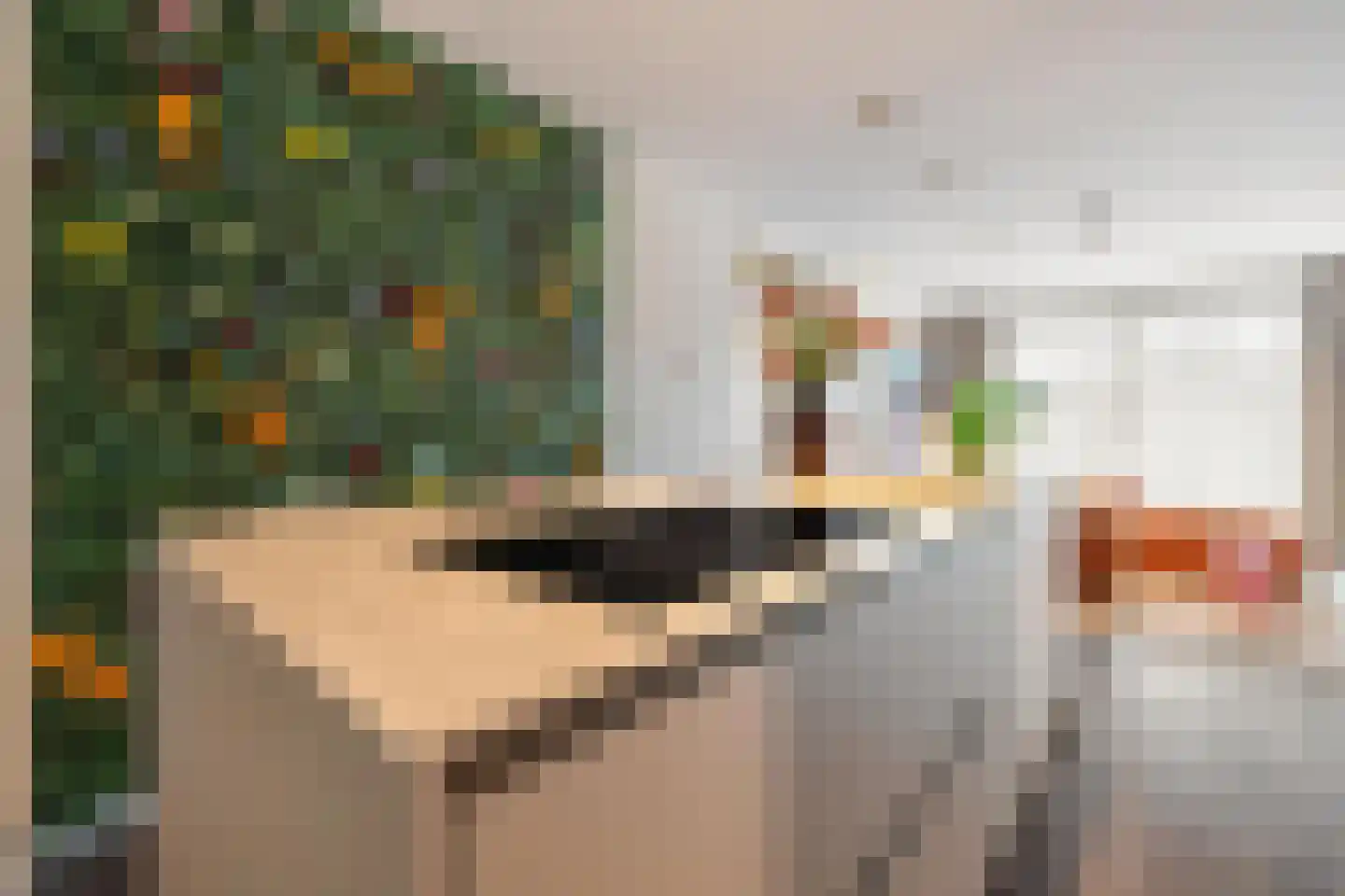 Jan Meijvisplein 7 Breda thumbnail 23