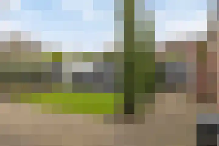 Jan Memlingstraat 6 Axel thumbnail 26