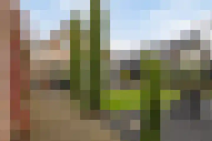 Jan Memlingstraat 6 Axel thumbnail 30
