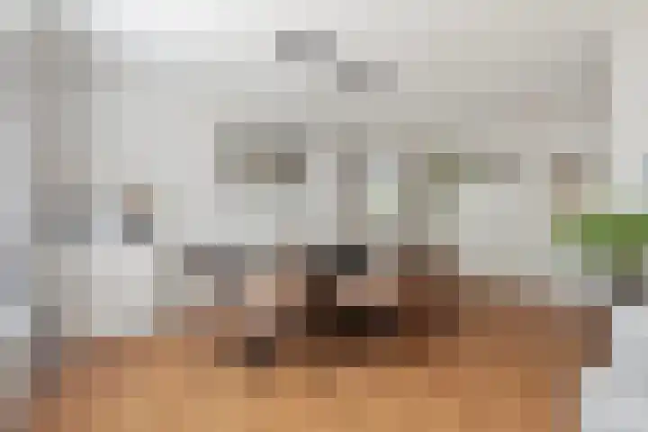 Jan Memlingstraat 6 Axel thumbnail 7
