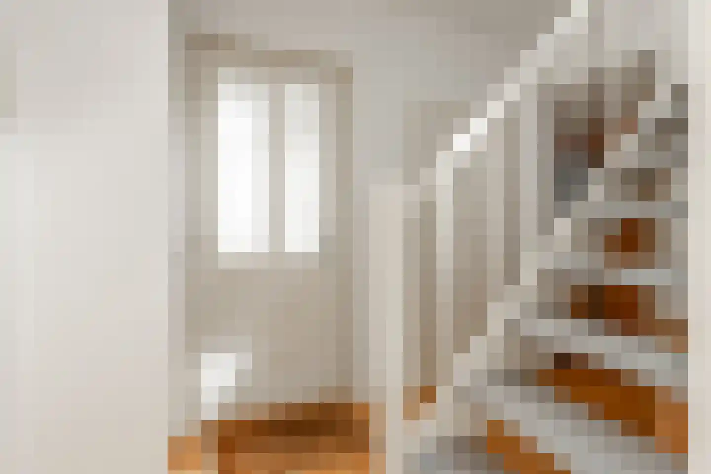 Jan Mensinghstraat 1 Aalden thumbnail 10