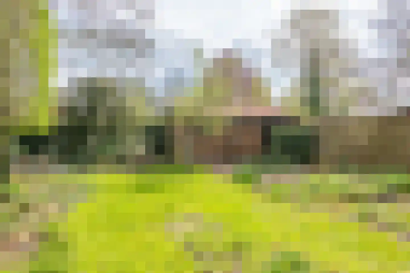 Jan Mensinghstraat 1 Aalden thumbnail 29