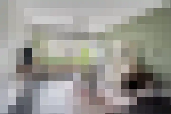 Jan Mostaertlaan 15 Heerhugowaard thumbnail 10