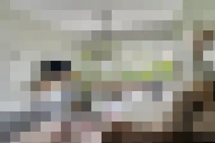 Jan Mostaertlaan 15 Heerhugowaard thumbnail 11