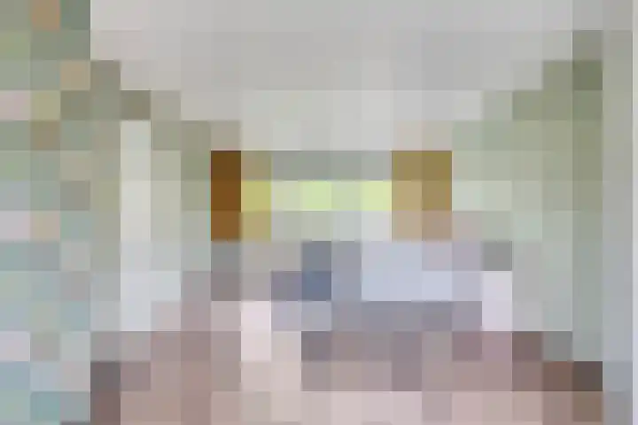 Jan Mostaertlaan 15 Heerhugowaard thumbnail 23