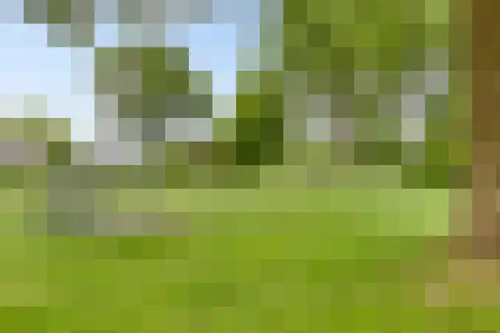 Jan Mostaertlaan 15 Heerhugowaard thumbnail 32