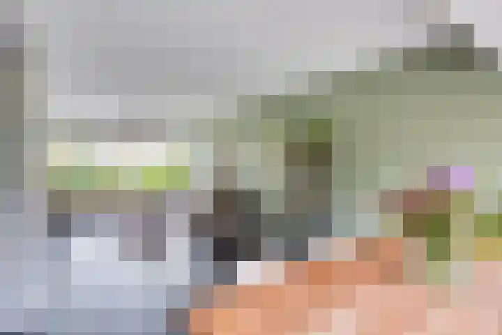 Jan Mostaertlaan 15 Heerhugowaard thumbnail 4