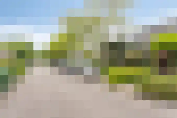 Jan Mostaertlaan 15 Heerhugowaard thumbnail 8