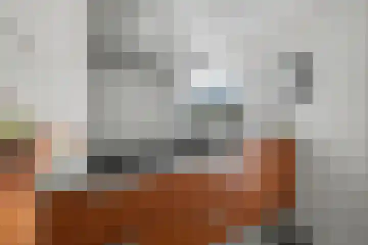 Jan Mostaertlaan 21 Heerhugowaard thumbnail 16