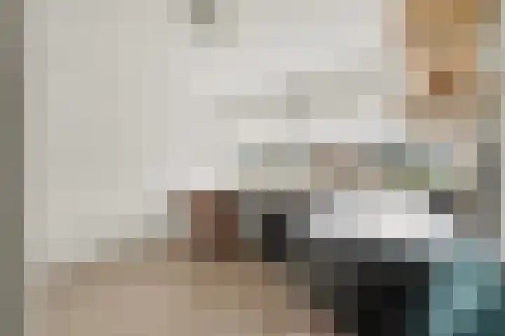 Jan Mostaertlaan 21 Heerhugowaard thumbnail 27