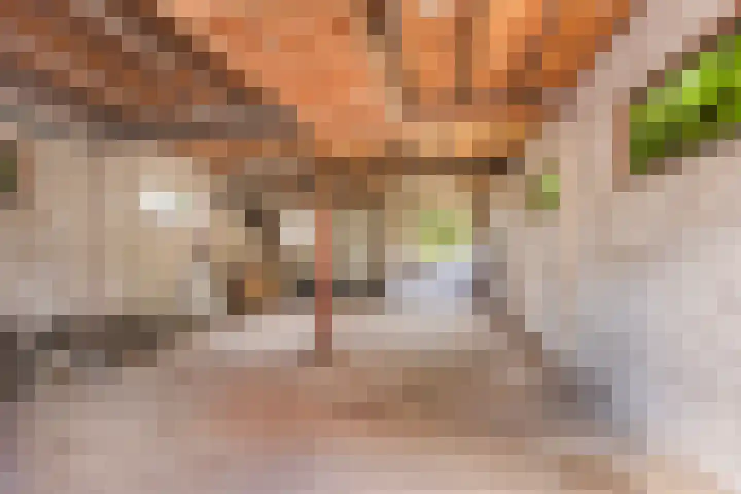 Jan Mulderstraat 32 Vaassen thumbnail 44