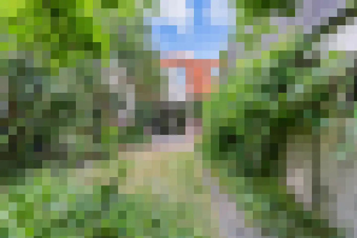 Jan Mulderstraat 32 Vaassen thumbnail 49