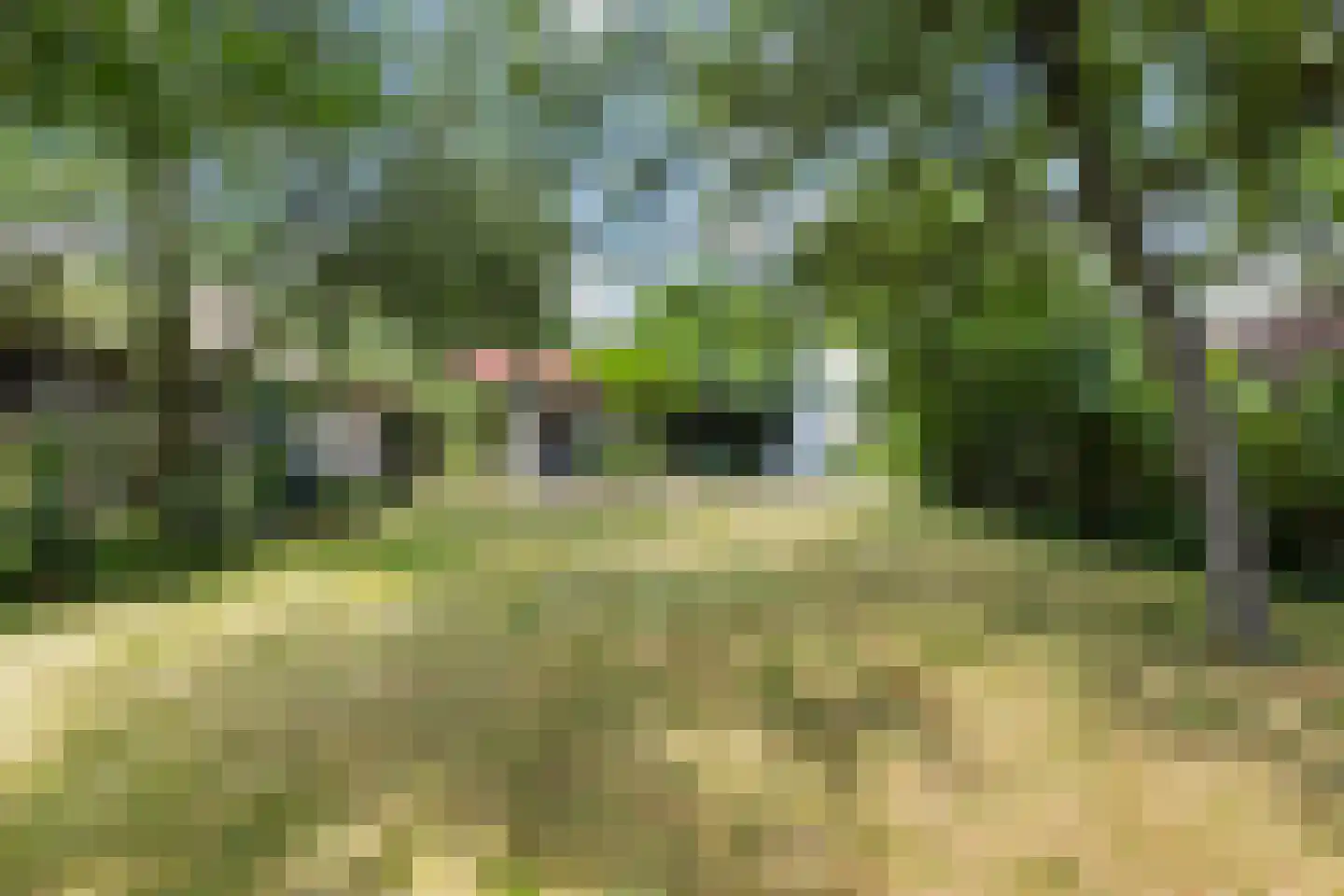 Jan Mulderstraat 32 Vaassen thumbnail 53
