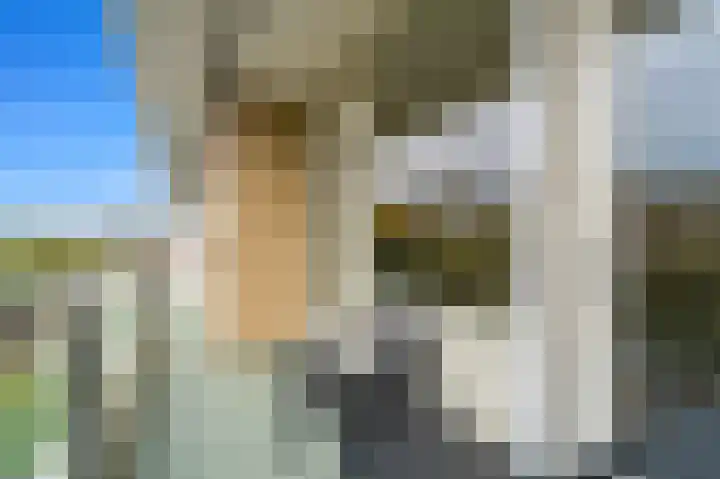 Jan Muschlaan 108 Den Haag thumbnail 11