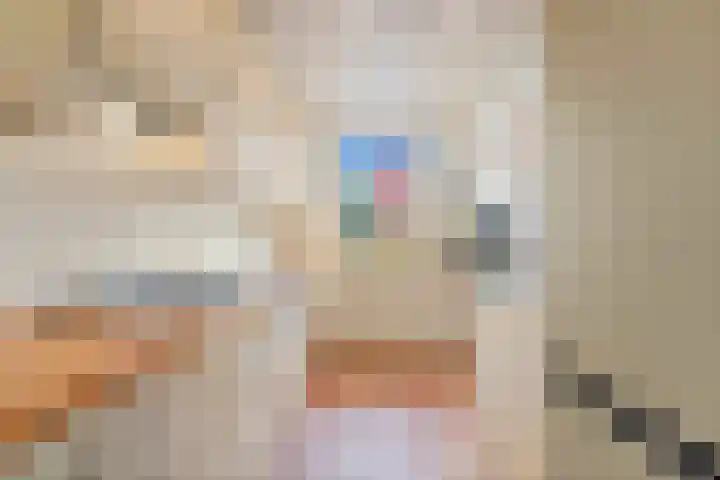 Jan Muschlaan 108 Den Haag thumbnail 16