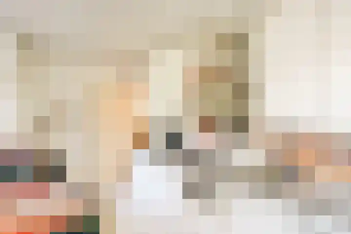 Jan Muschlaan 12 Den Haag thumbnail 10