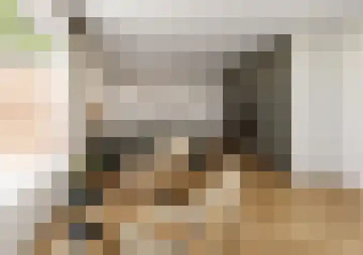 Jan Muschlaan 12 Den Haag thumbnail 12